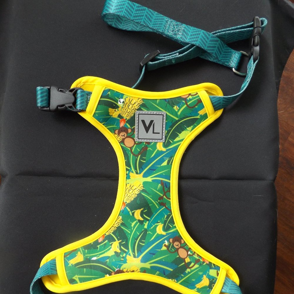 Vibrant Life Super Cute Pet Harness - S/M